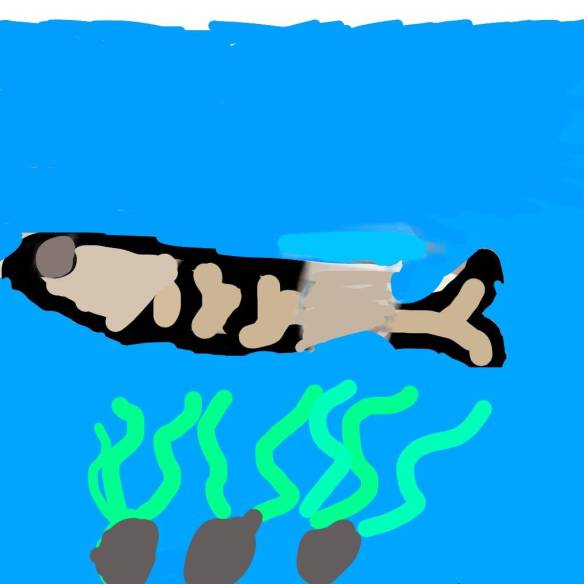 1557183_641384975909734_1425831592_o