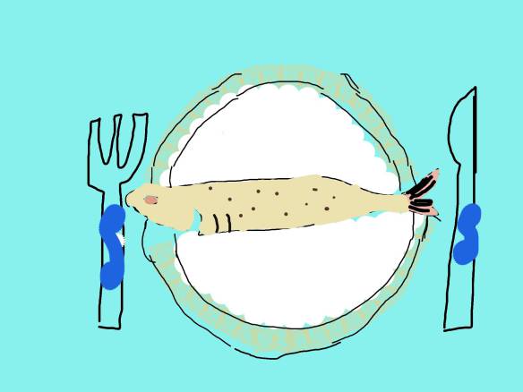 740768_641384992576399_200249076_o