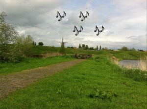 Kleefliedje op zoek naar slachtoffer