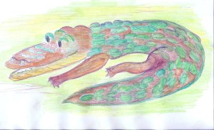 Een krokodil