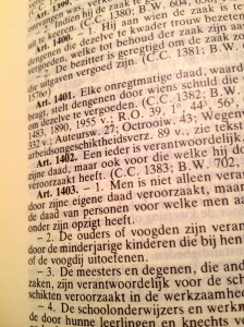 artikel 1401 burgerlijk wetboek