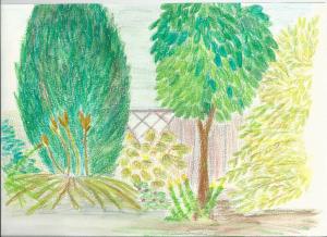 Een scan van de tekening op papier, ingekleurd met aquarelpotloden.