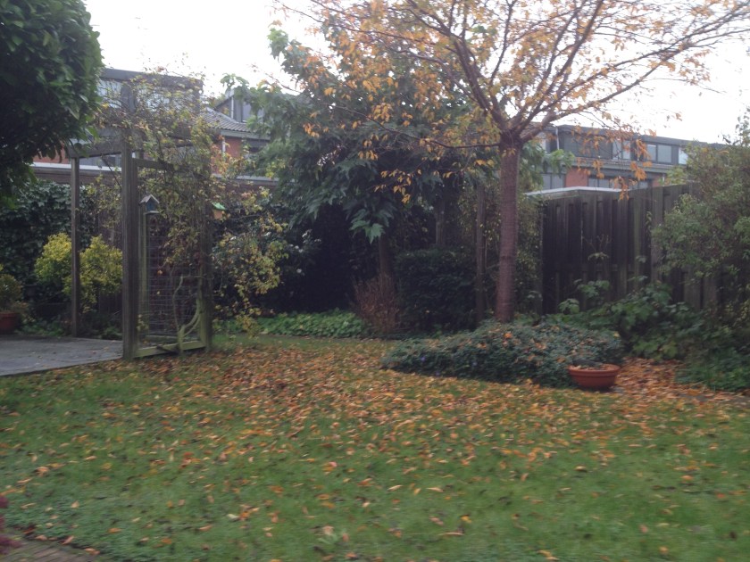 Tuin november 2014