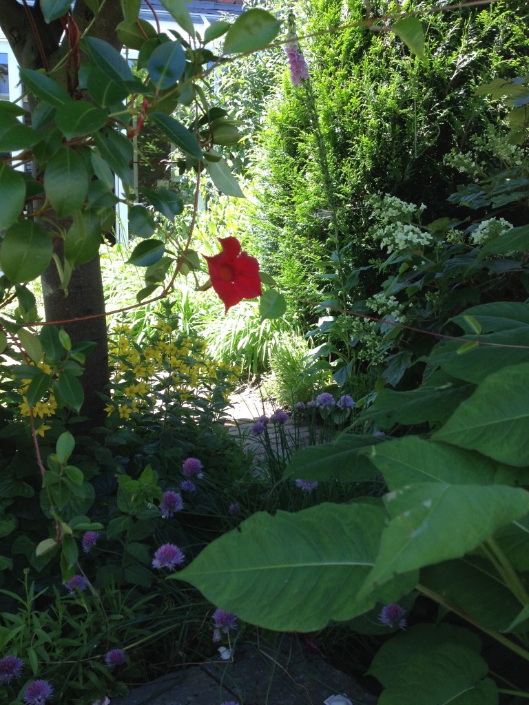 Zomerlezen, Gekleurde Gedachten, Karien Damen