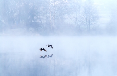 Photo by Dan. FreeDigitalPhotis