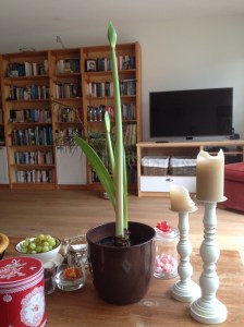 Er komen twee knoppen in