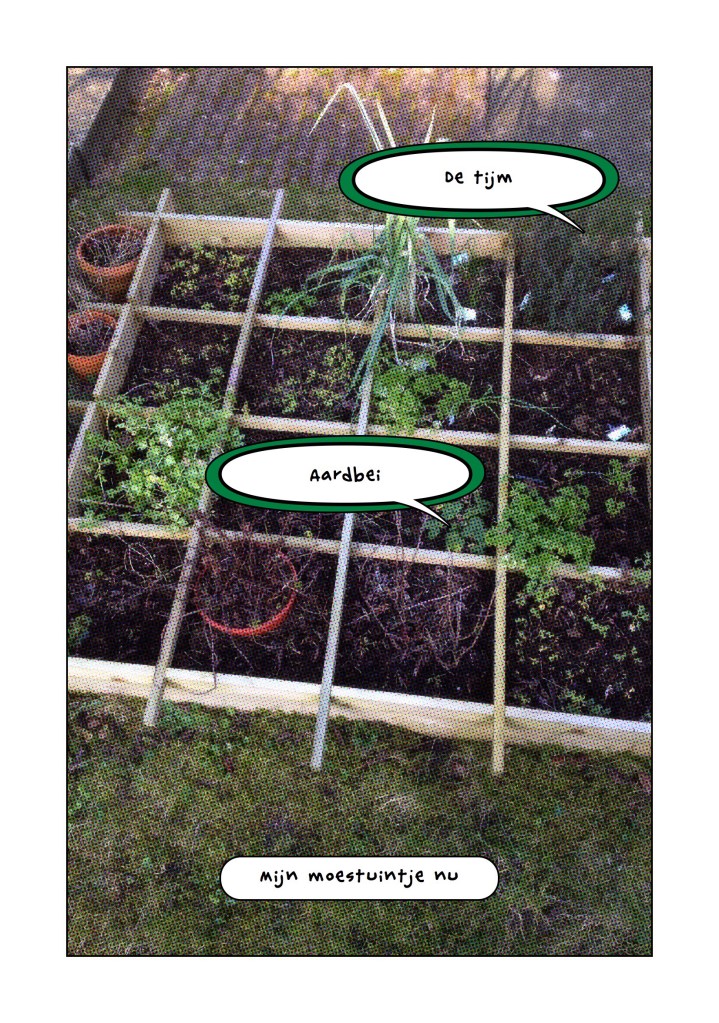 groentetuintje