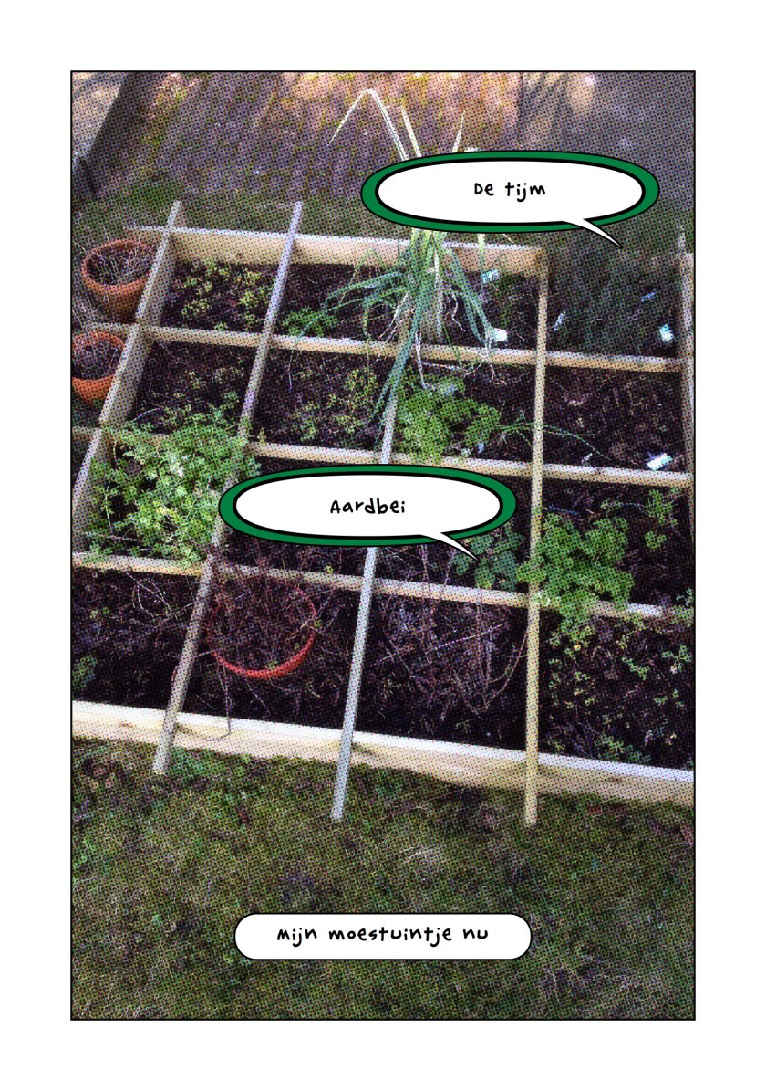 groentetuintje