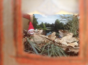 kijkdoos, bos, Karien Damen