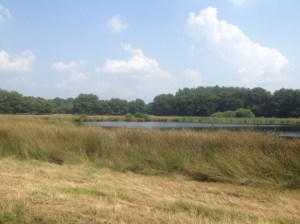 Zomers schrijven, Karien Damen