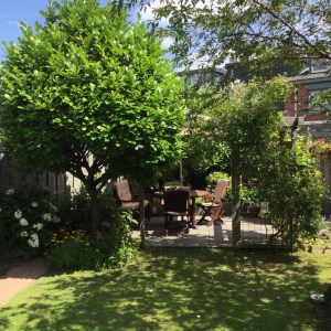 Tuin gekleurde gedachten