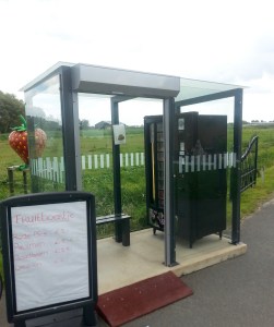 Groenzoom, gekleurde gedachten, Karien Damen