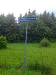 Drenthe, je moet er geweest zijn, Karien Damen, gekleurde gedachten