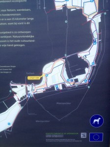 Groenzoom, gekleurde gedachten, Karien Damen