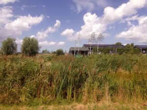 Groenzoom, gekleurde gedachten, Karien Damen