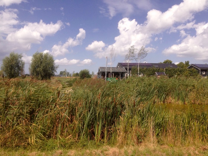 Groenzoom, gekleurde gedachten, Karien Damen