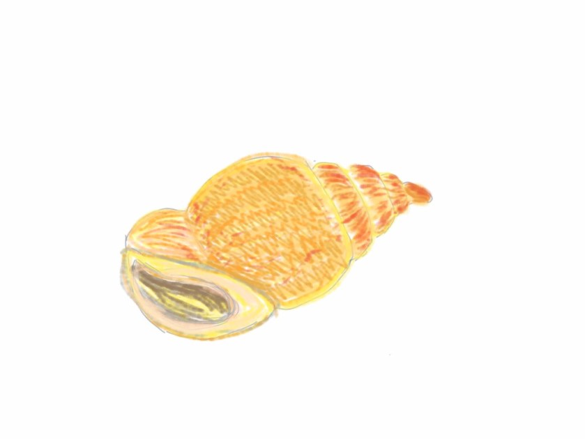 Suzy zoekt een huis, gekleurde gedachten