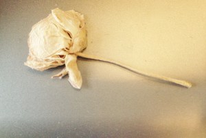 Griep, gekleurde gedachten