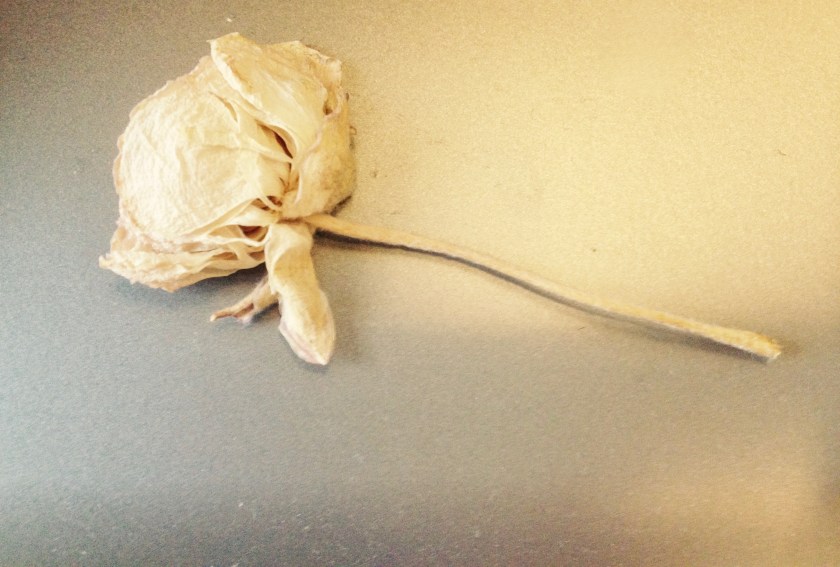 Griep, gekleurde gedachten