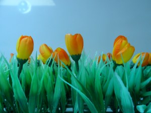 Gekleurde gedachten, Karien Damen, genieten