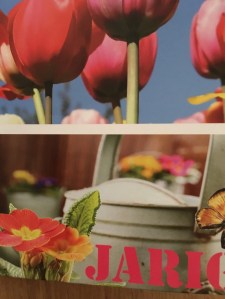 Feest, Gekleurde Gedachten, Karien Damen