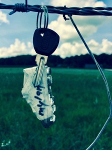 Gekleurde Gedachten, Karien Damen