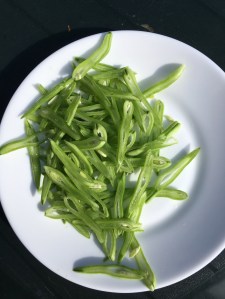 Een gulle oom, Gekleurde Gedachten, Karien Damen