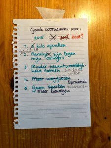 Goede voornemens, gekleurde gedachten, Karien Damen