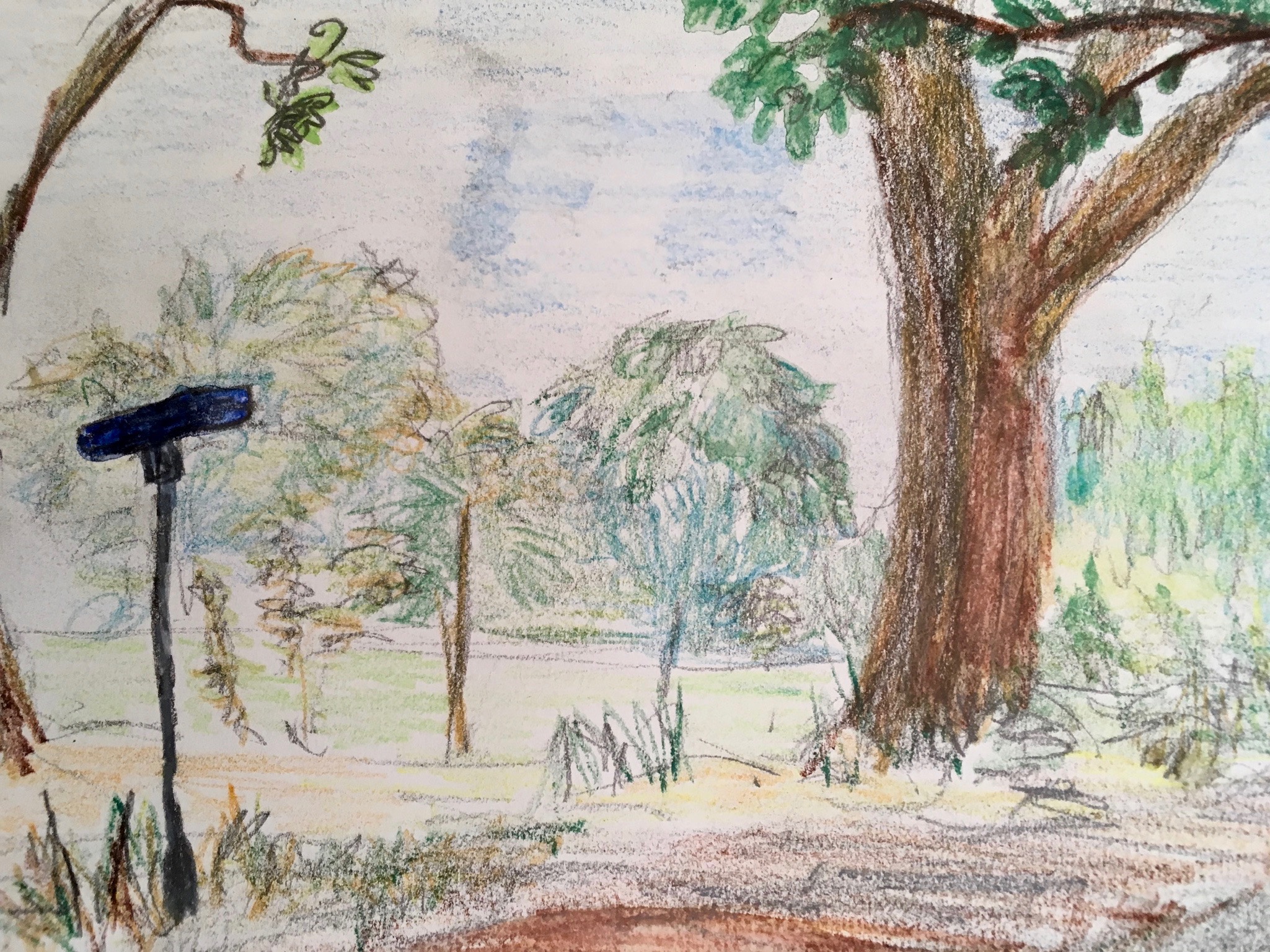 Zomer 2018, Gekleurde Gedachten, Karien Damen