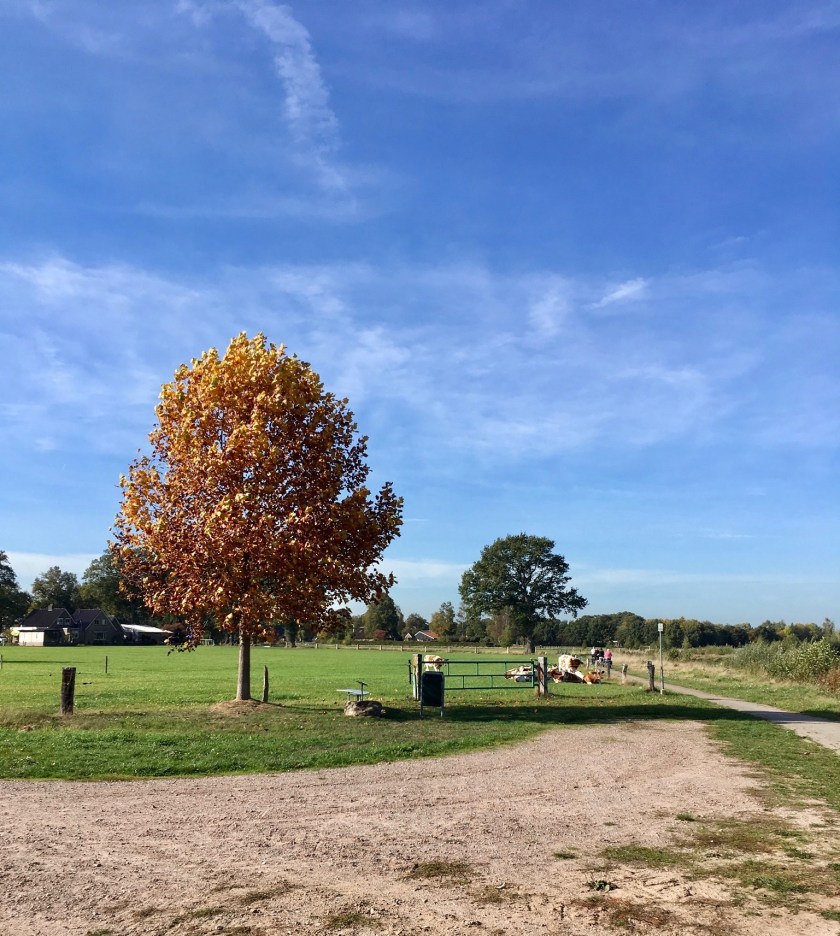 Hellendoorn, Regge, fietsen, Gekleurde Gedachten, Karien Damen
