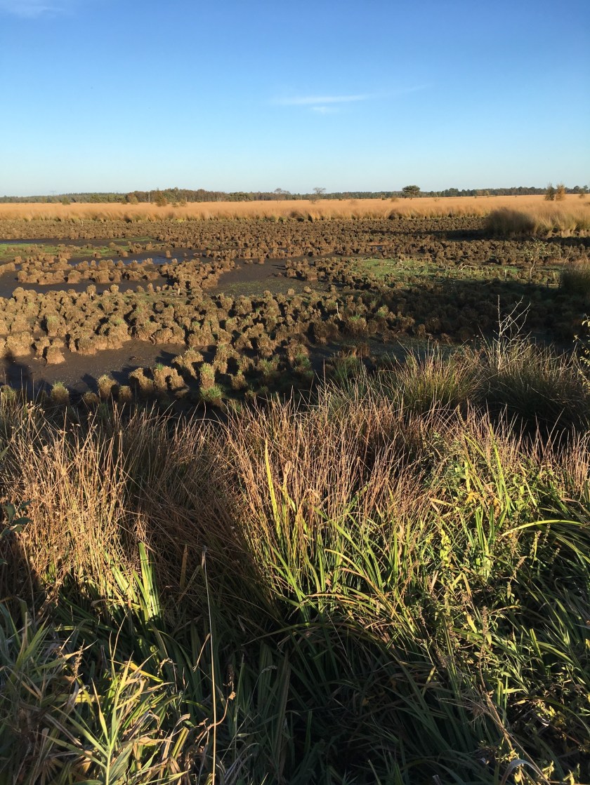 Hellendoorn, Regge, fietsen, Gekleurde Gedachten, Karien Damen