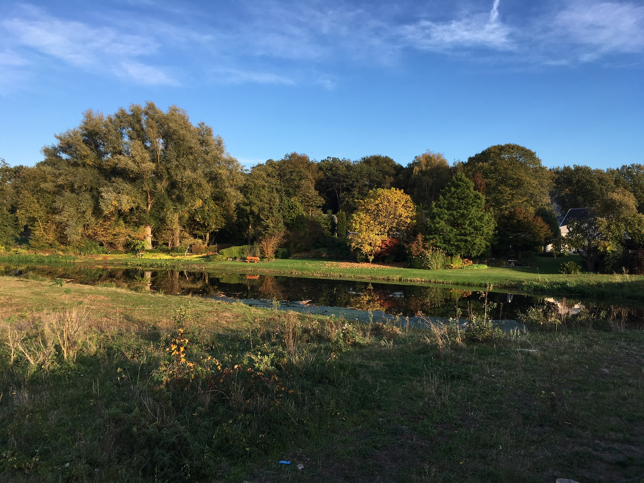 Hellendoorn, Regge, fietsen, Gekleurde Gedachten, Karien Damen