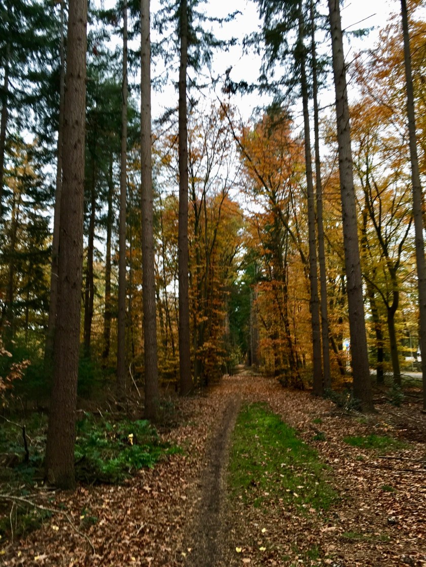 Herfst in Hellendoorn, Gekleurde Gedachten, Karien Damen, Huisje10