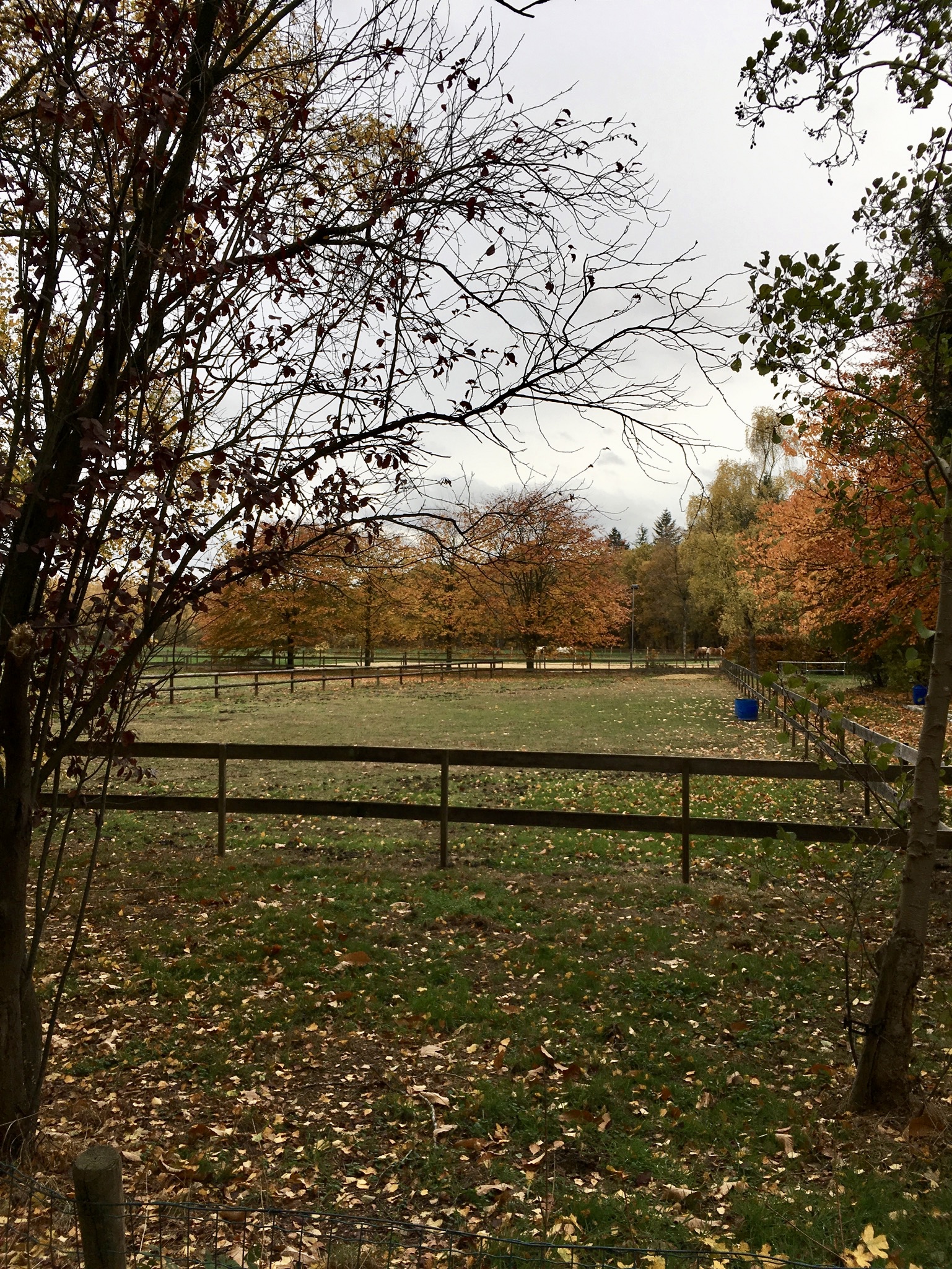 Herfst in Hellendoorn, Gekleurde Gedachten, Karien Damen, Huisje10