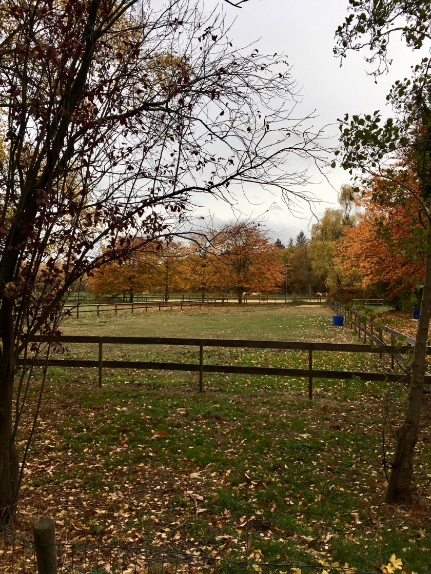 Herfst in Hellendoorn, Gekleurde Gedachten, Karien Damen, Huisje10