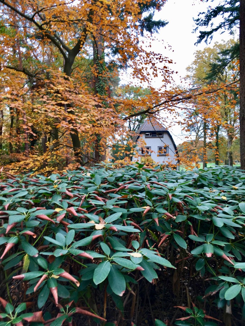 Herfst in Hellendoorn, Gekleurde Gedachten, Karien Damen, Huisje10