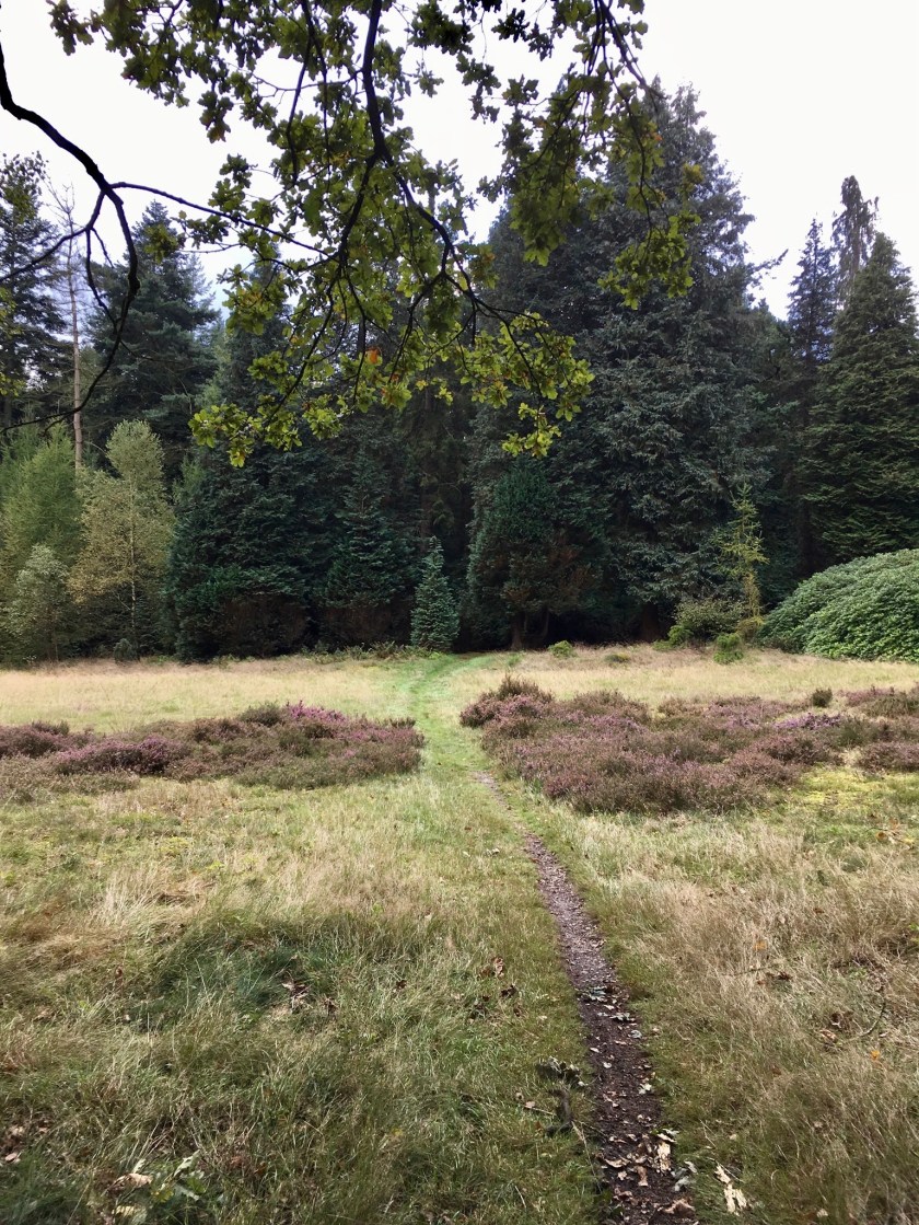 Gekleurde Gedachten, Karien Damen