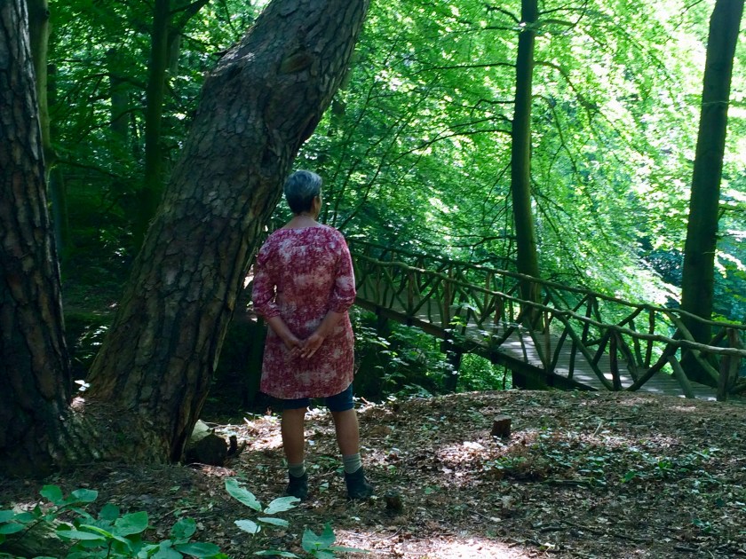 De brug als metafoor, Karien Damen, Gekleurde Gedachten